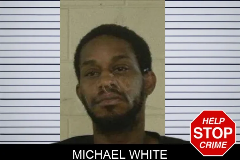 Michael White mugshot β Liberty County , Georgia Michael White