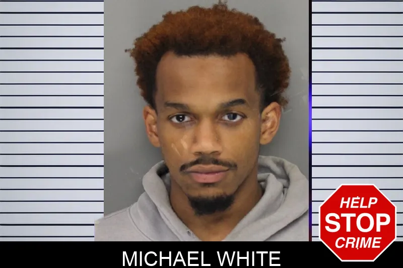 Michael White Mugshots