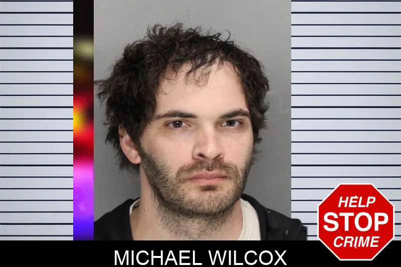 Michael Wilcox mugshot