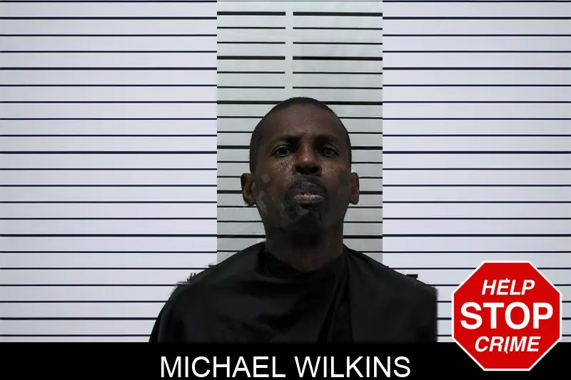 Michael Wilkins Mugshots
