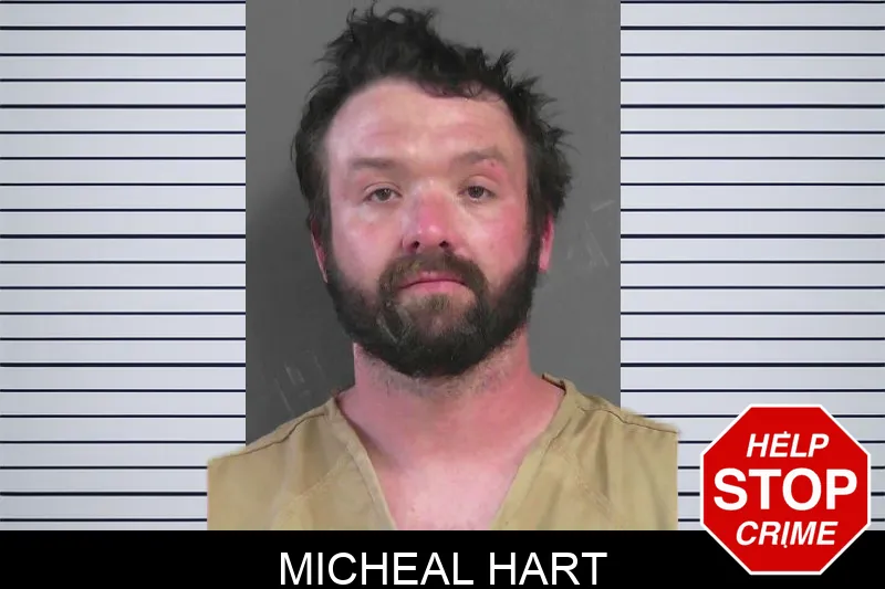 Micheal Hart mugshot