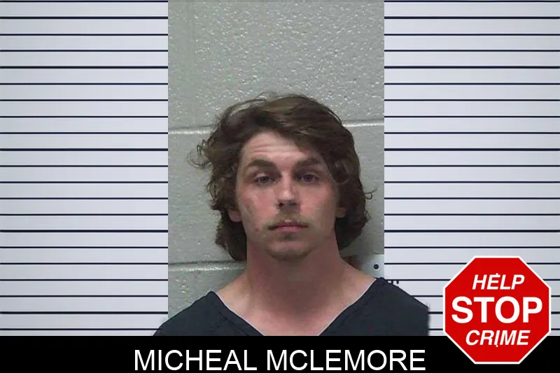Micheal McLemore Mugshots