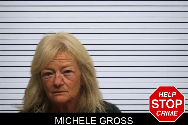 Michele Gross Mugshots
