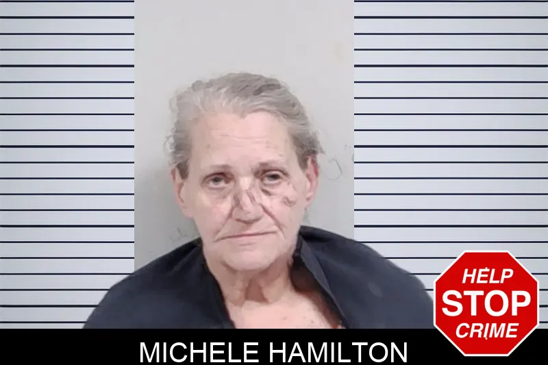 Michele Hamilton mugshot – Lowndes County , Georgia Michele Hamilton mugshot