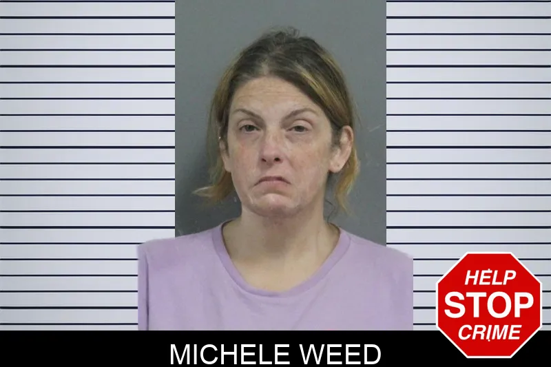 Michele Weed Mugshots