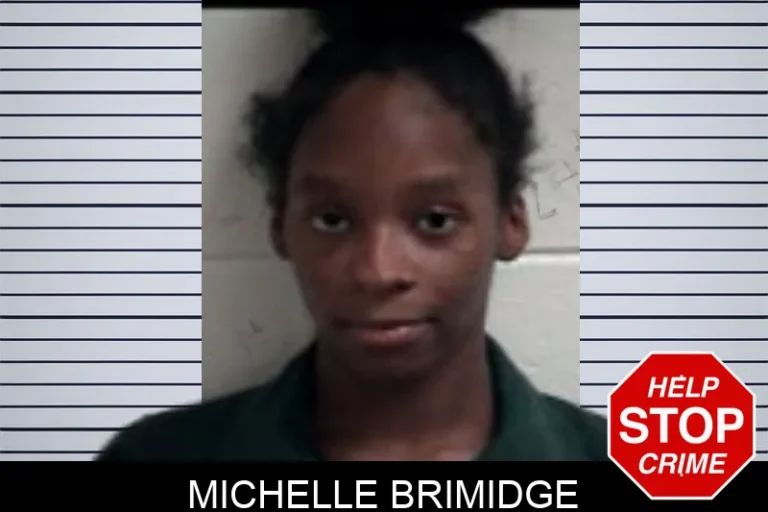 Michelle Brimidge mugshot – Henry County , Georgia Michelle Brimidge