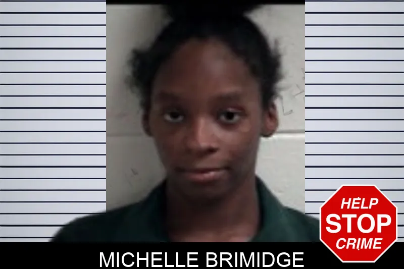Michelle Brimidge Mugshots