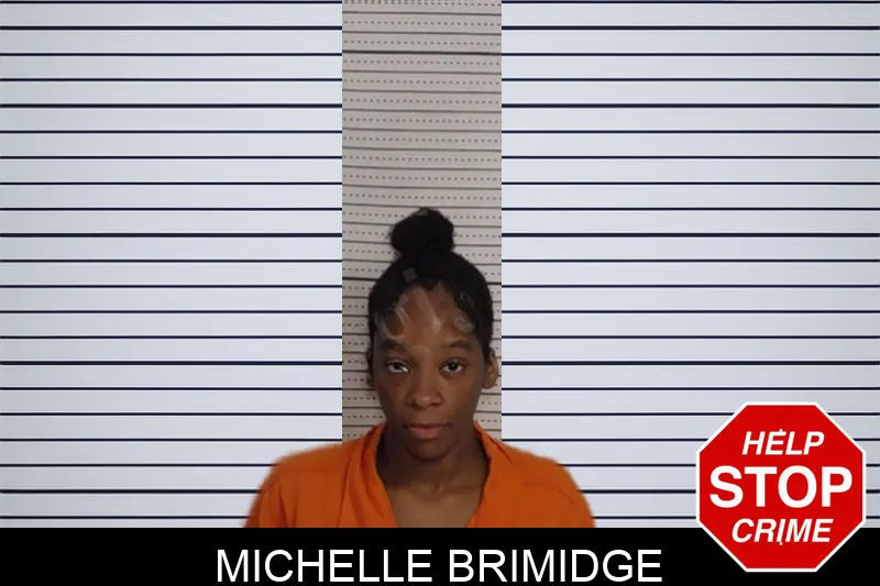 Michelle Brimidge Mugshots