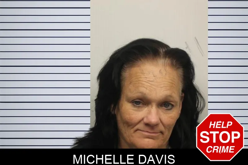 Michelle Davis mugshot
