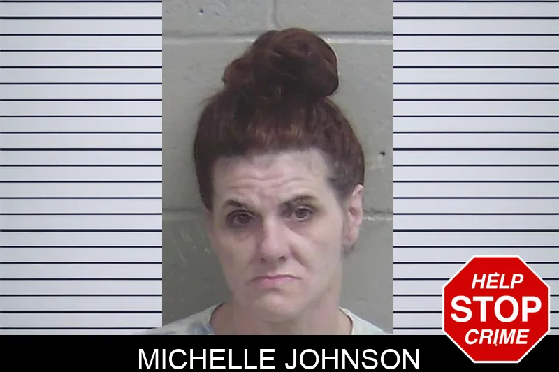 Michelle Johnson Mugshots