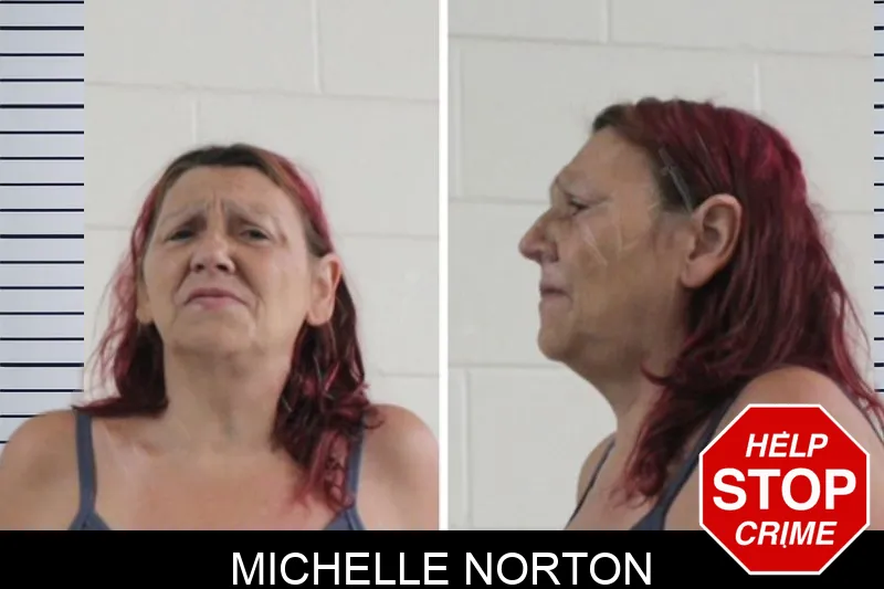 Michelle Norton Mugshots