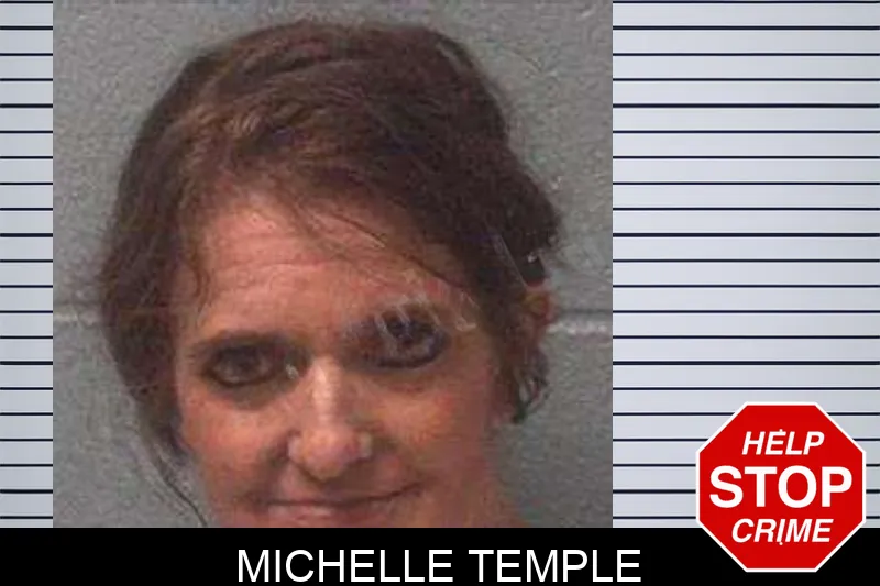 Michelle Temple Mugshots