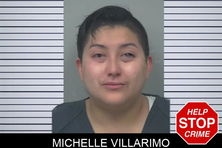 Michelle Villarimo mugshot – Gwinnett County , Georgia Michelle Villarimo