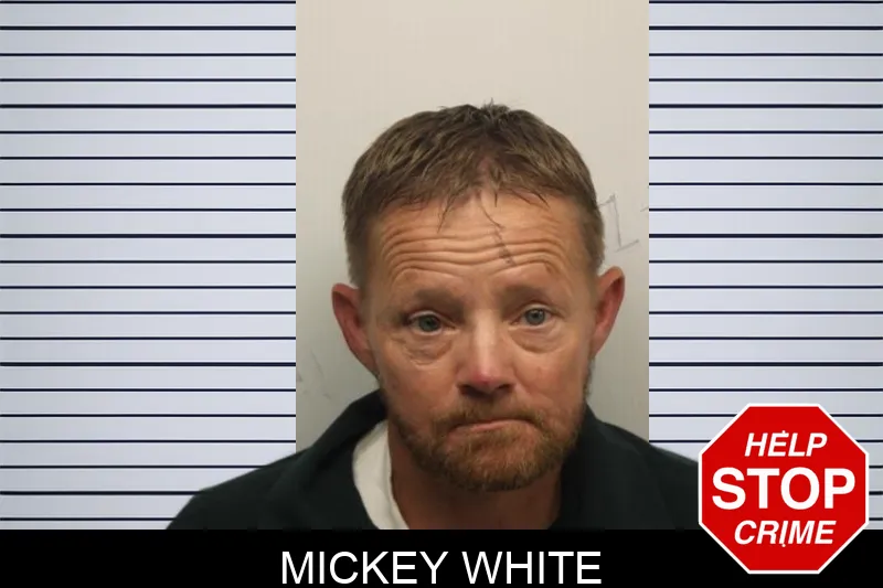 Mickey White Mugshots