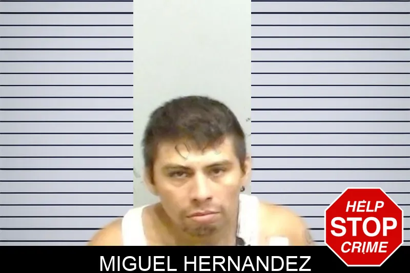 Miguel Hernandez Mugshots