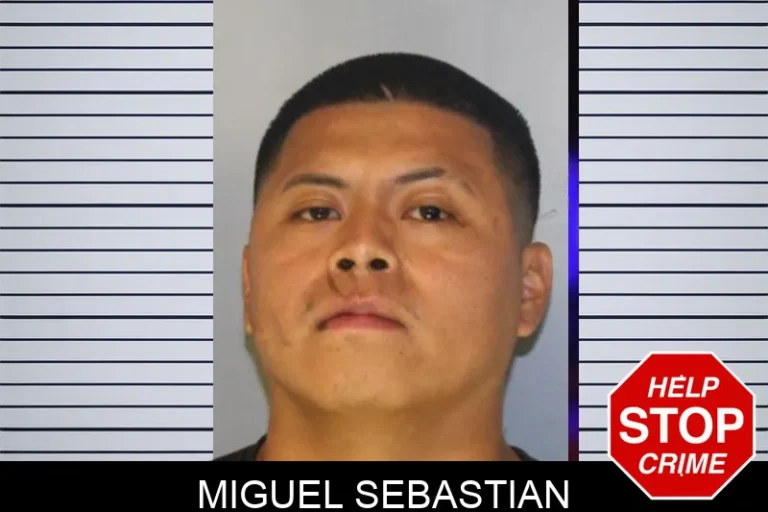 Miguel Sebastian