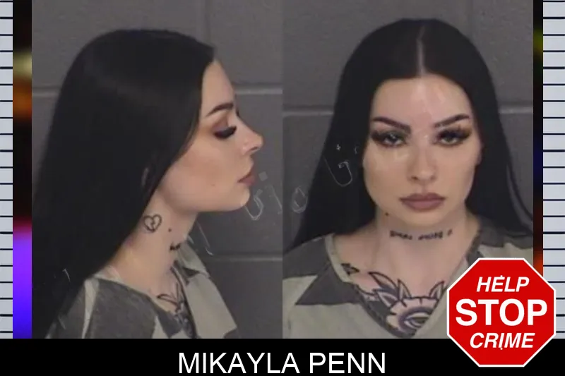 Mikayla Penn Mugshots