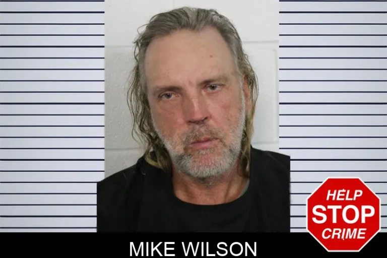 Mike Wilson