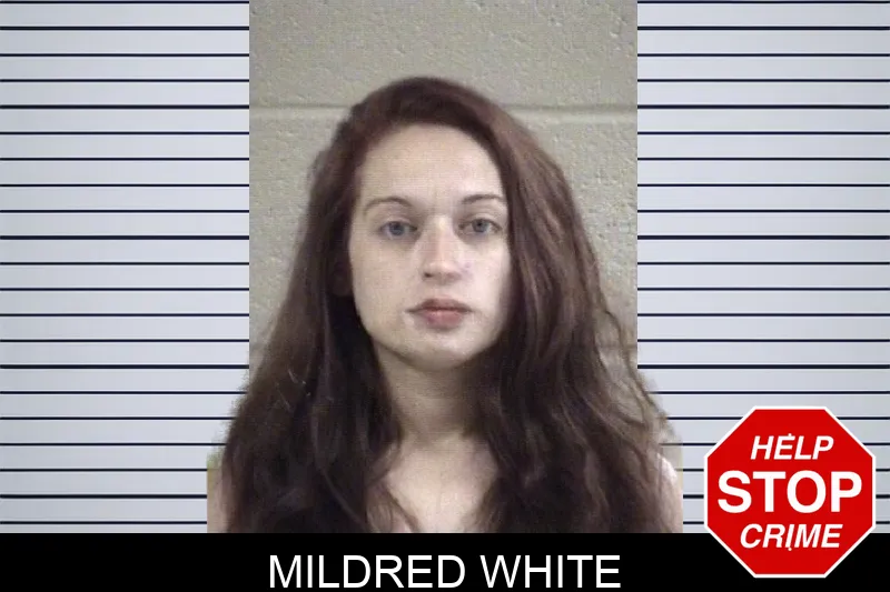Mildred White mugshot – Whitfield County , Georgia Mildred White mugshot