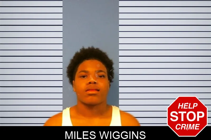 Miles Wiggins mugshot – Troup County , Georgia Miles Wiggins mugshot