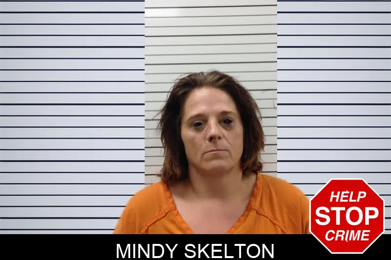 Mindy Skelton Mugshots