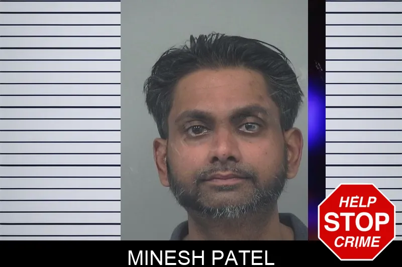 Minesh Patel Mugshots