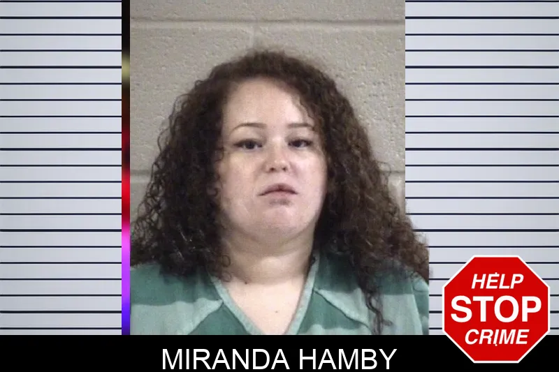 Miranda Hamby mugshot