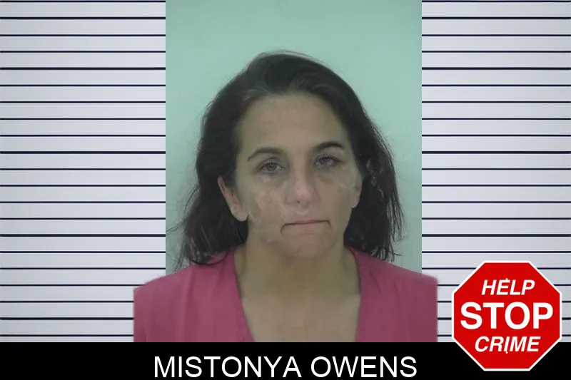 Mistonya Owens Mugshots