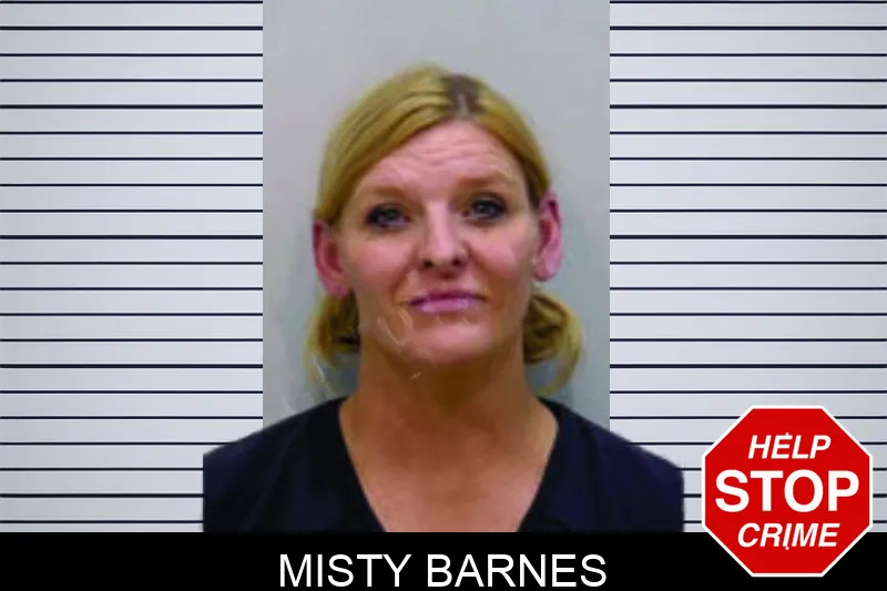 Misty Barnes Mugshots