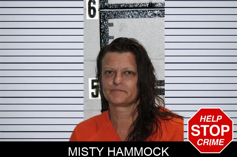 Misty Hammock Mugshots