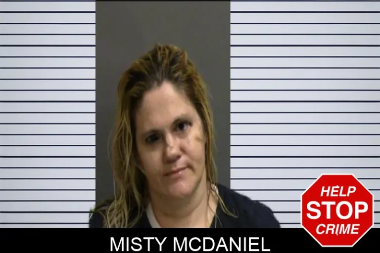 Misty McDaniel mugshot – Glynn County , Georgia Misty McDaniel