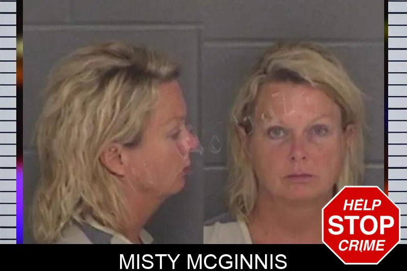 Misty McGinnis Mugshots