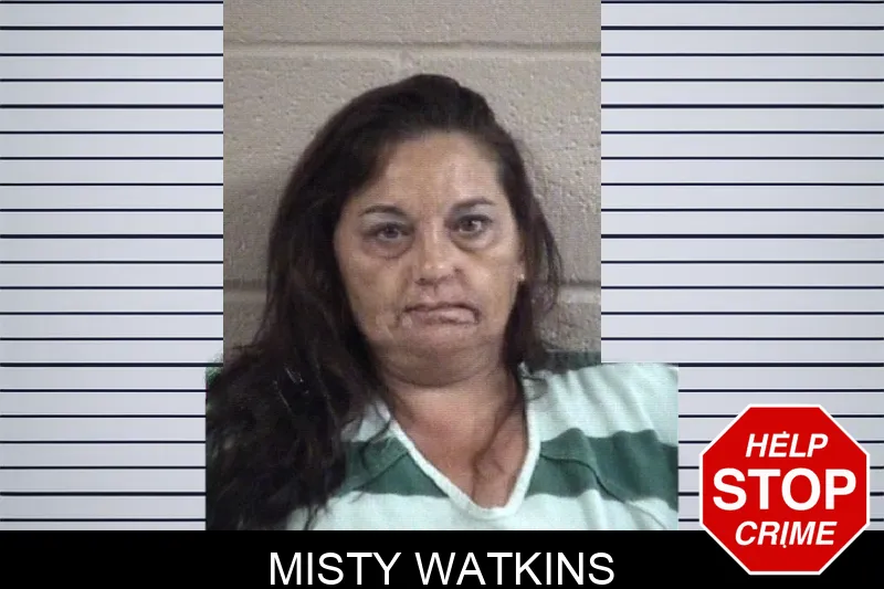 Misty Watkins Mugshots