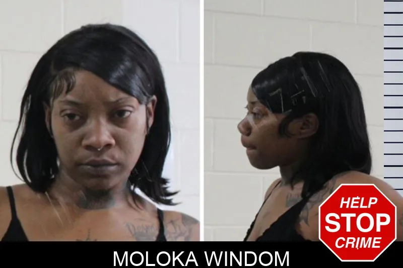 Moloka Windom mugshot