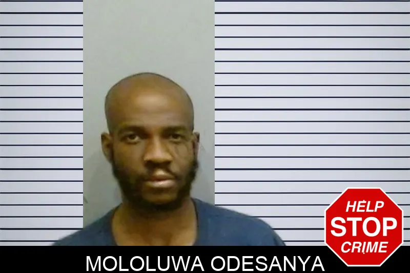 Mololuwa Odesanya mugshot – Fulton County , Georgia Mololuwa Odesanya mugshot