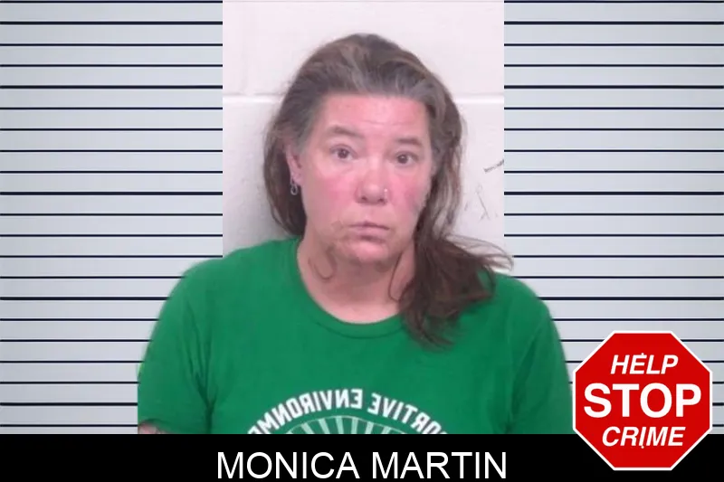 Monica Martin Mugshots