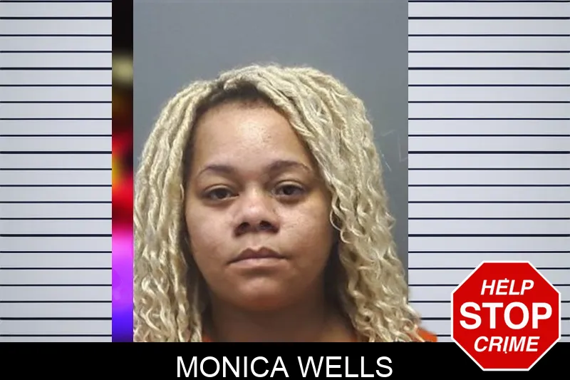 Monica Wells Mugshots