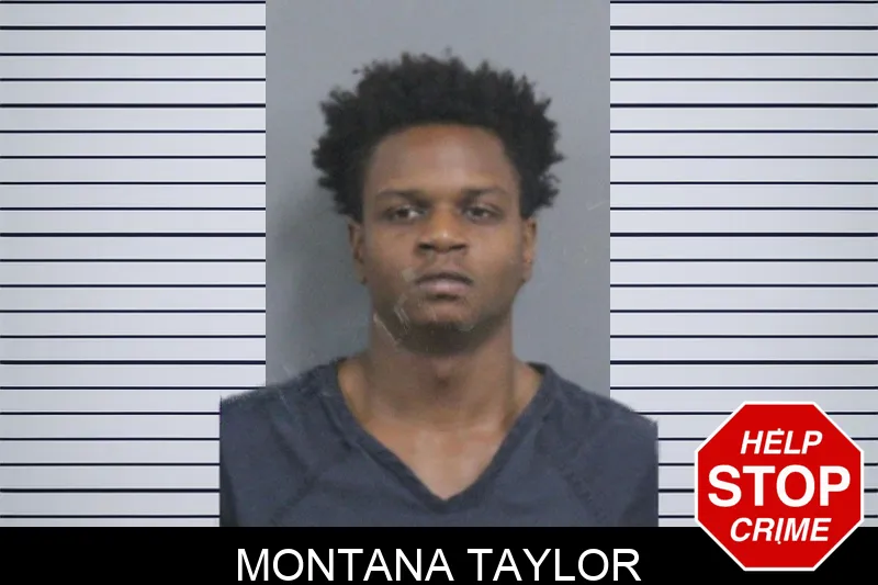 Montana Taylor Mugshots