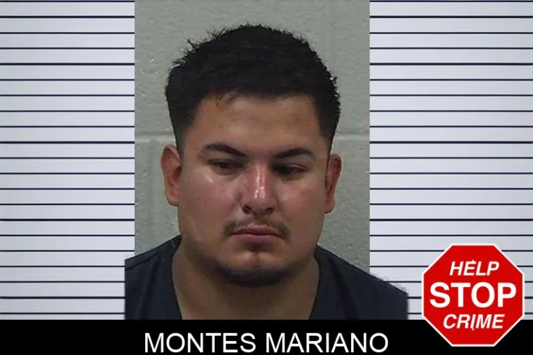 Montes Mariano mugshot – Gilmer County , Georgia Montes Mariano
