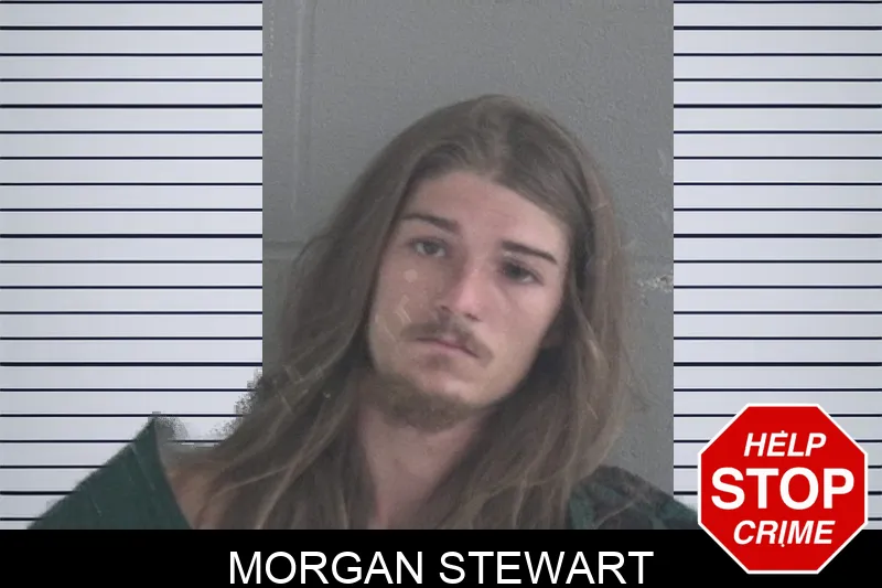 Morgan Stewart Mugshots