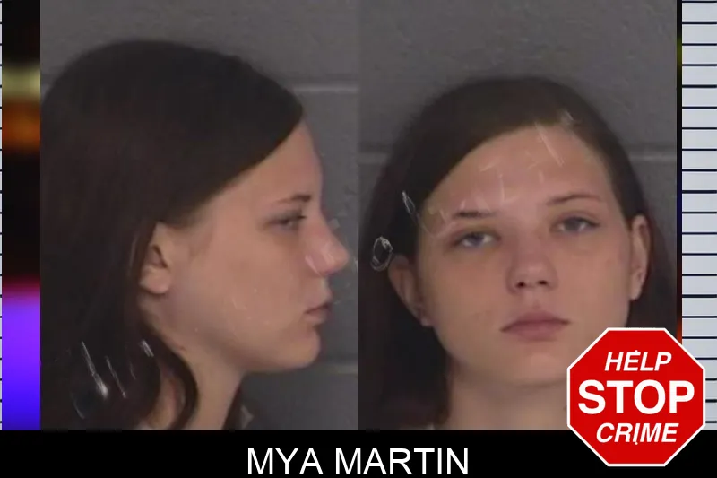 Mya Martin Mugshots