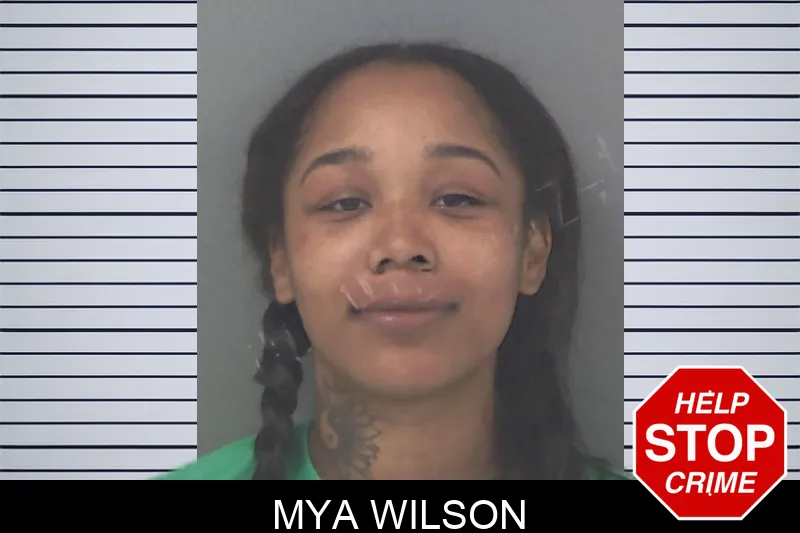 Mya Wilson Mugshots