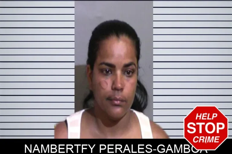 Nambertfy Perales-Gamboa mugshot – Glynn County , Georgia Nambertfy Perales-Gamboa