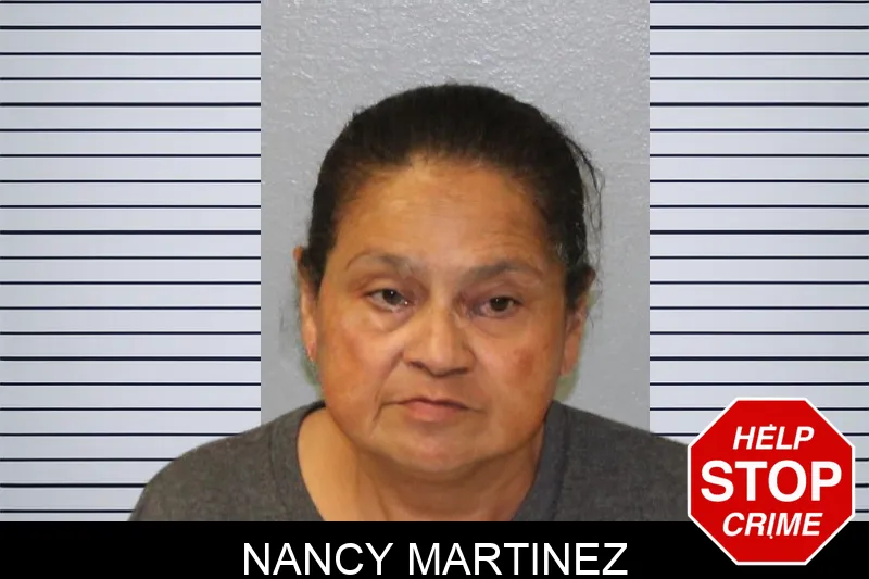 Nancy Martinez Mugshots