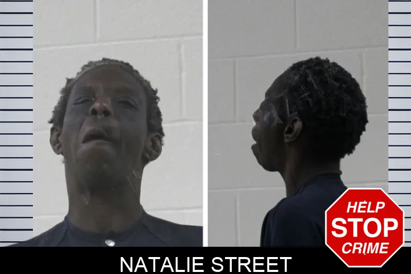 Natalie Street mugshot