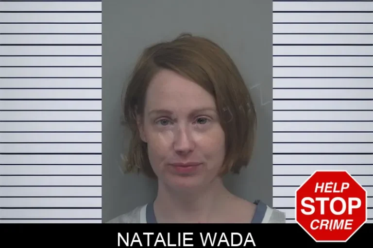 Natalie Wada mugshot – Gwinnett County , Georgia Natalie Wada