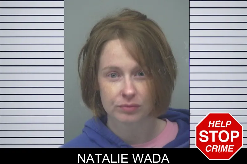 Natalie Wada Mugshots