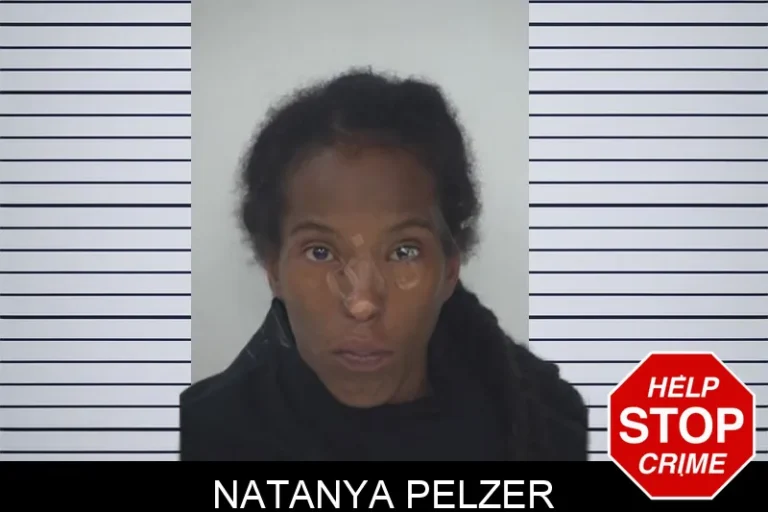Natanya Pelzer mugshot – Fayette County , Georgia Natanya Pelzer