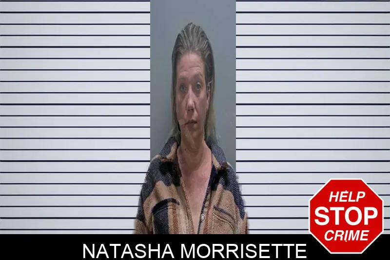 Natasha Morrisette Mugshots