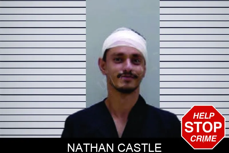 Nathan Castle Mugshots